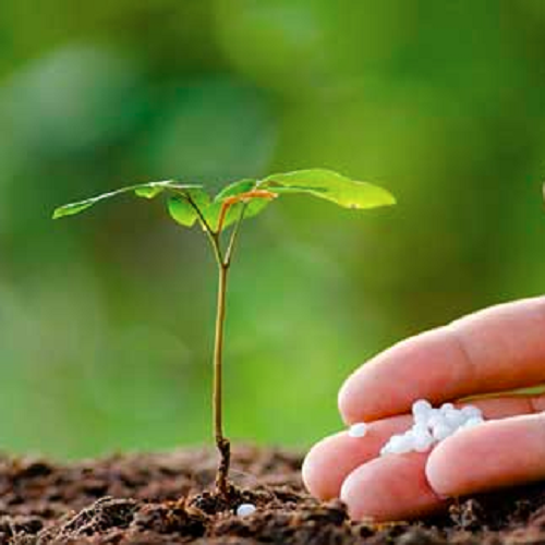 تولید اسید فسفریک کشاورزی